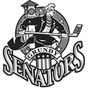 The Grundy Senators Hockey Club